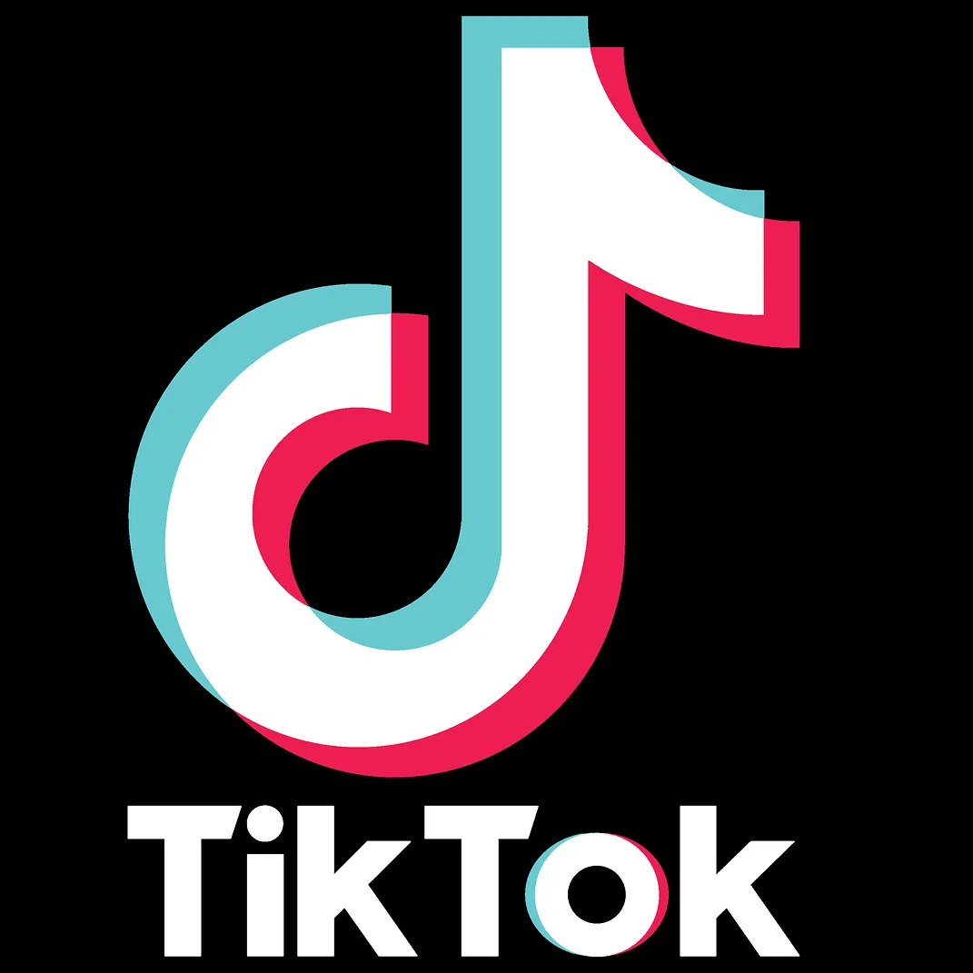 tiktok desa sumber salam